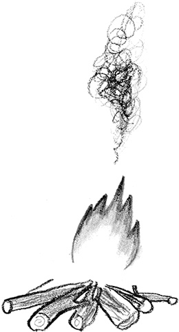 Иллюстрация к книге — Мальчик, который плавал с пираньями [i_026.jpg]