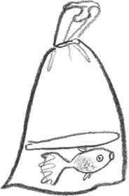 Иллюстрация к книге — Мальчик, который плавал с пираньями [i_030.jpg]