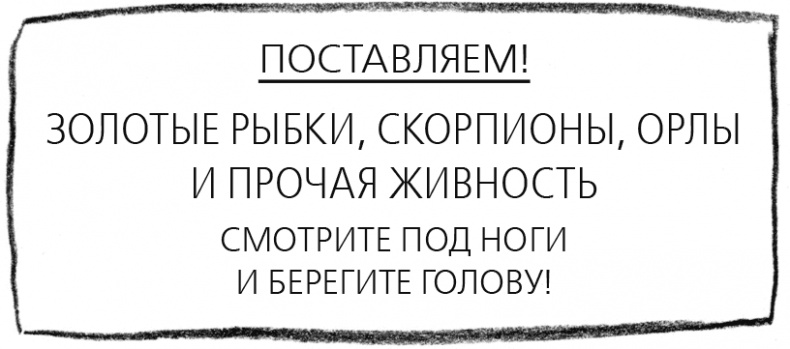 Иллюстрация к книге — Мальчик, который плавал с пираньями [i_041.jpg]