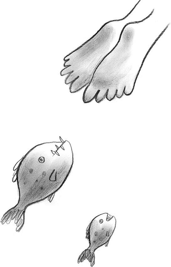 Иллюстрация к книге — Мальчик, который плавал с пираньями [i_047.jpg]