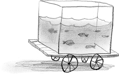 Иллюстрация к книге — Мальчик, который плавал с пираньями [i_063.jpg]