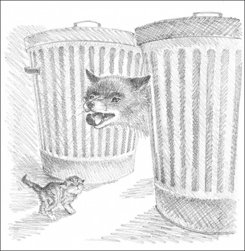 Иллюстрация к книге — Котенок Пушинка, или Рождественское чудо [i_019.jpg]