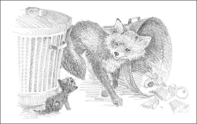 Иллюстрация к книге — Котенок Пушинка, или Рождественское чудо [i_020.jpg]