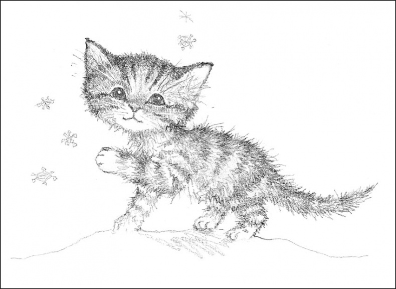 Иллюстрация к книге — Котенок Пушинка, или Рождественское чудо [i_023.jpg]