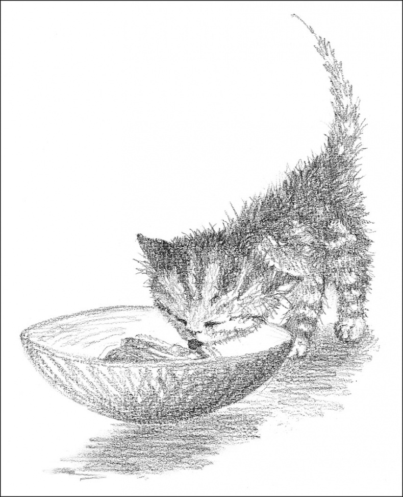 Иллюстрация к книге — Котенок Пушинка, или Рождественское чудо [i_028.jpg]