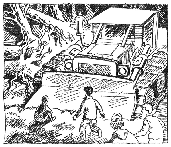 Иллюстрация к книге — Тайны Огонь-горы, или Полосатое лето [i_004.jpg]