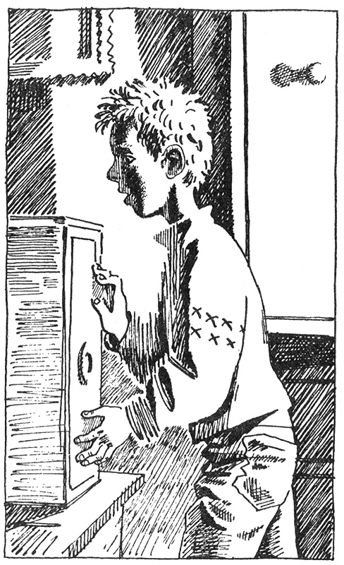 Иллюстрация к книге — Тайны Огонь-горы, или Полосатое лето [i_007.jpg]