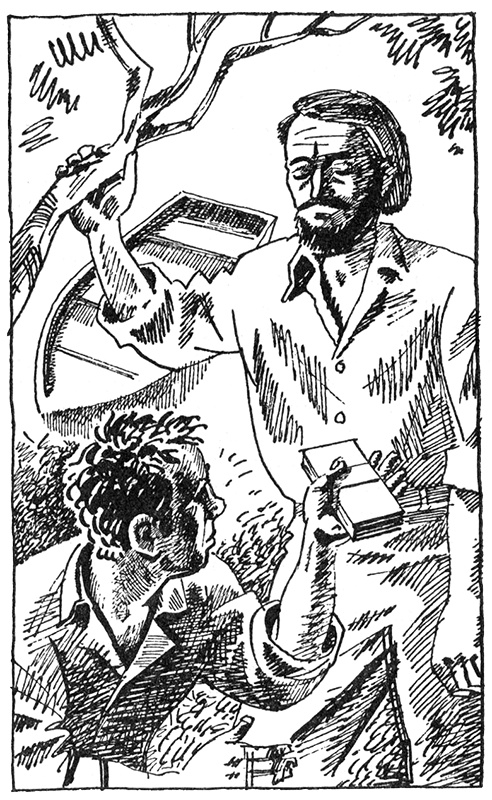 Иллюстрация к книге — Тайны Огонь-горы, или Полосатое лето [i_010.jpg]