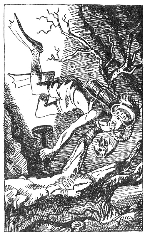 Иллюстрация к книге — Тайны Огонь-горы, или Полосатое лето [i_017.jpg]