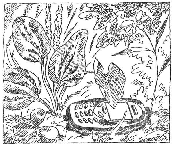 Иллюстрация к книге — Тайны Огонь-горы, или Полосатое лето [i_021.jpg]