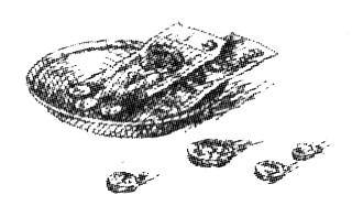 Иллюстрация к книге — Васька [i_002.jpg]