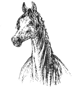 Иллюстрация к книге — Васька [i_006.jpg]