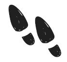 Иллюстрация к книге — Шерлок Холмс [i_008.jpg]