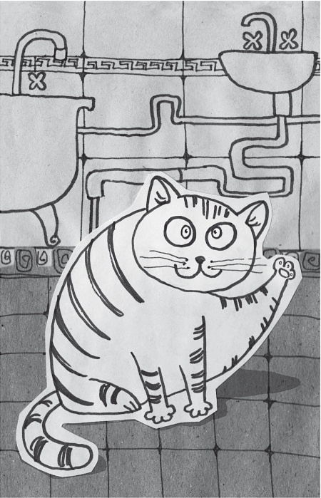 Иллюстрация к книге — Тесты для вашего кота. Измерь IQ домашнего любимца и пойми его психотип [i_017.jpg]