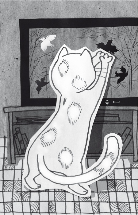 Иллюстрация к книге — Тесты для вашего кота. Измерь IQ домашнего любимца и пойми его психотип [i_033.jpg]