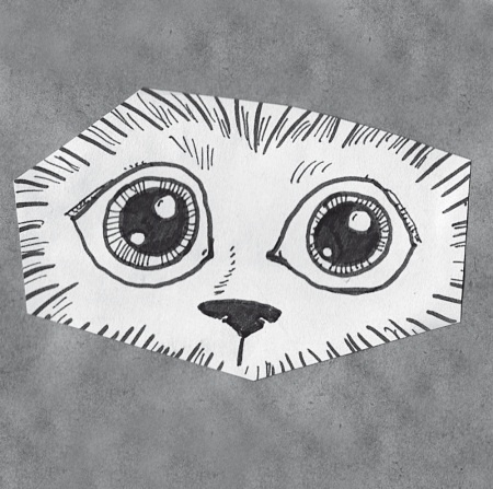 Иллюстрация к книге — Тесты для вашего кота. Измерь IQ домашнего любимца и пойми его психотип [i_041.jpg]