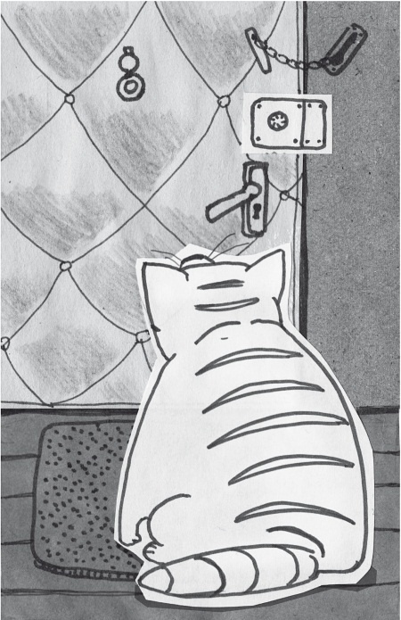 Иллюстрация к книге — Тесты для вашего кота. Измерь IQ домашнего любимца и пойми его психотип [i_056.jpg]