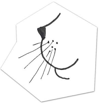 Иллюстрация к книге — Тесты для вашего кота. Измерь IQ домашнего любимца и пойми его психотип [i_064.jpg]