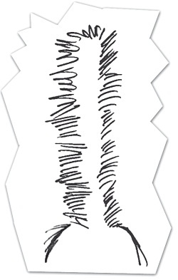 Иллюстрация к книге — Тесты для вашего кота. Измерь IQ домашнего любимца и пойми его психотип [i_080.jpg]