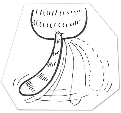 Иллюстрация к книге — Тесты для вашего кота. Измерь IQ домашнего любимца и пойми его психотип [i_081.jpg]