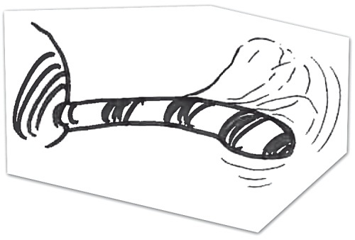 Иллюстрация к книге — Тесты для вашего кота. Измерь IQ домашнего любимца и пойми его психотип [i_082.jpg]