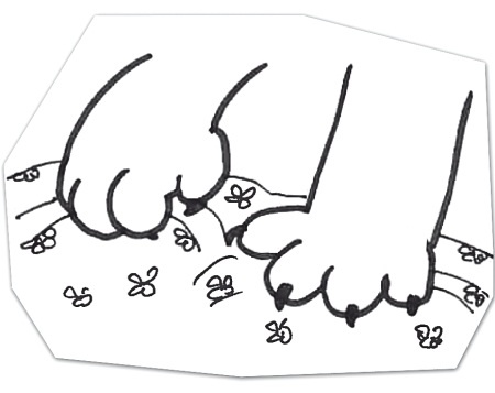 Иллюстрация к книге — Тесты для вашего кота. Измерь IQ домашнего любимца и пойми его психотип [i_093.jpg]