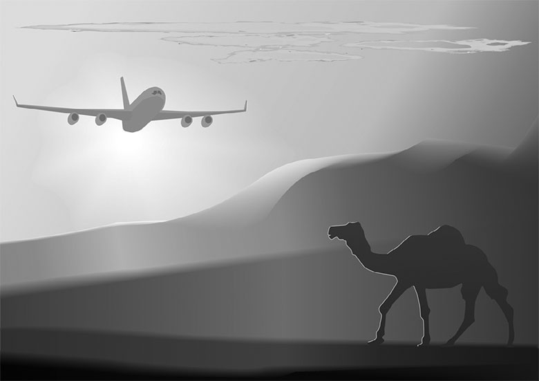 Иллюстрация к книге — Подарок Сахары [i_001.jpg]