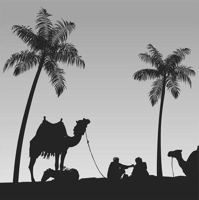 Иллюстрация к книге — Подарок Сахары [i_004.jpg]