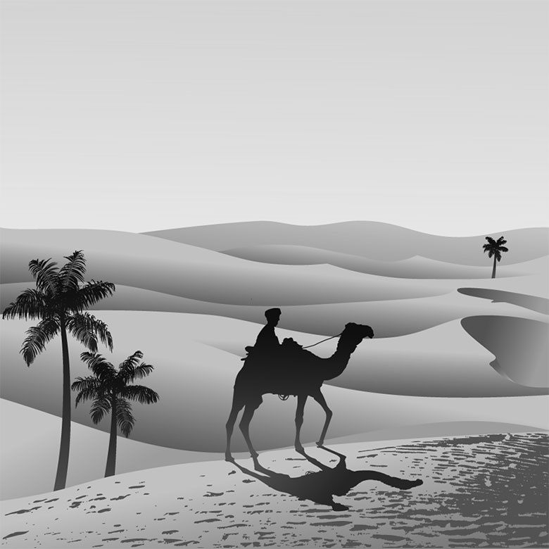 Иллюстрация к книге — Подарок Сахары [i_008.jpg]