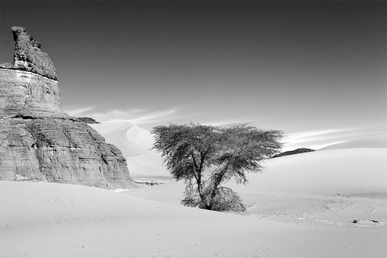 Иллюстрация к книге — Подарок Сахары [i_010.jpg]