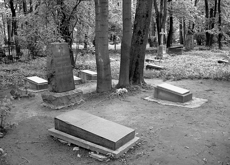 Иллюстрация к книге — Даниил Хармс. Жизнь человека на ветру [i_184.jpg]