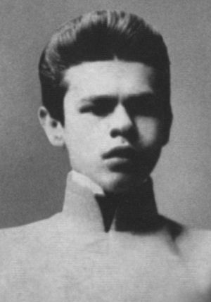 Иллюстрация к книге — Владислав Ходасевич. Чающий и говорящий [i_006.jpg]