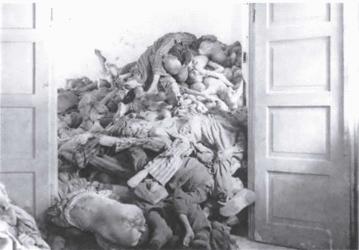 Иллюстрация к книге — Смерч войны [i_027.jpg]