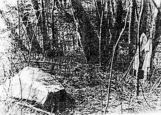 Иллюстрация к книге — Русь колыбельная. Северная прародина славян. Арктида, Гиперборея и Древняя Русь [i_019.jpg]