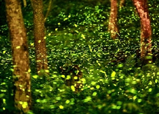 Иллюстрация к книге — Путешествия в мифы: Коса богини Рады [images_53d56ddc37eca2c1288b4680_jpg.jpg]