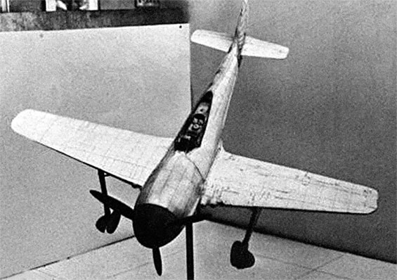 Иллюстрация к книге — Гений "Фокке-Вульфа". Великий Курт Танк [Autogen_eBook_id65.jpg]