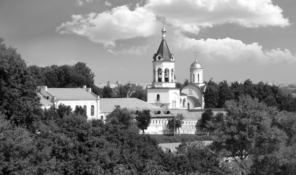 Иллюстрация к книге — Русь против европейского ига. От Александра Невского до Ивана Грозного [i_016.jpg]