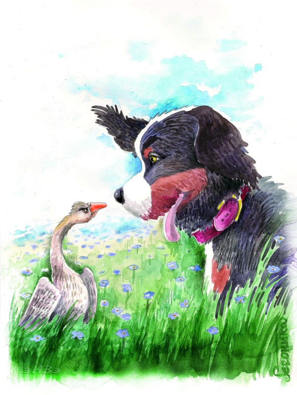 Иллюстрация к книге — Сказки Мирраславы: Для взрослых и детей [i_002.jpg]