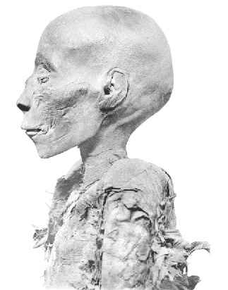 Иллюстрация к книге — Древний Египет [_09.jpg]