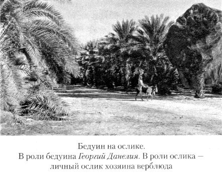 Иллюстрация к книге — Кот ушел, а улыбка осталась [i_019.jpg]