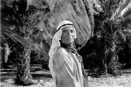 Иллюстрация к книге — Кот ушел, а улыбка осталась [i_020.jpg]