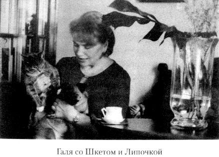 Иллюстрация к книге — Кот ушел, а улыбка осталась [i_091.jpg]