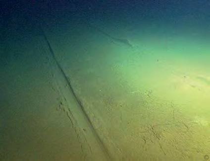 Иллюстрация к книге — 8 полюсов Фредерика Паулсена. Путешествие в мир холода [i_005.jpg]