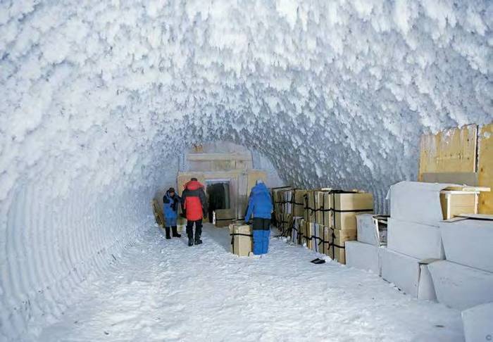 Иллюстрация к книге — 8 полюсов Фредерика Паулсена. Путешествие в мир холода [i_168.jpg]