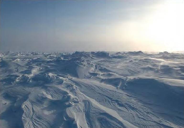 Иллюстрация к книге — 8 полюсов Фредерика Паулсена. Путешествие в мир холода [i_176.jpg]