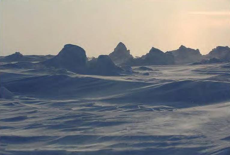 Иллюстрация к книге — 8 полюсов Фредерика Паулсена. Путешествие в мир холода [i_181.jpg]