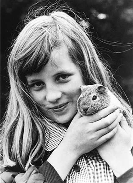 Иллюстрация к книге — Диана и Чарльз. Одинокая принцесса любит принца... [block_001208_page_037_image_0001.jpg]