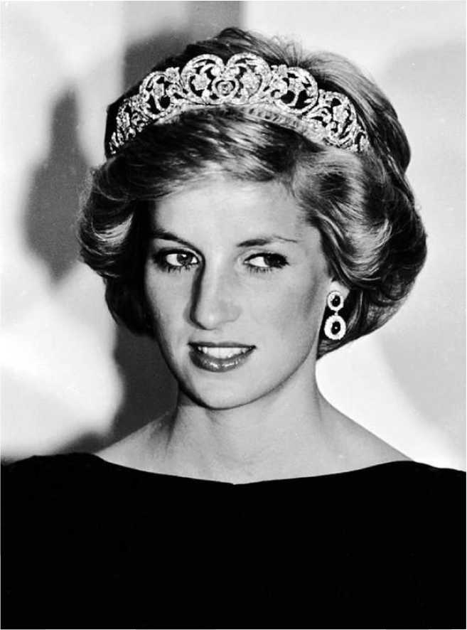 Иллюстрация к книге — Леди Диана. Принцесса людских сердец [i_002.jpg]