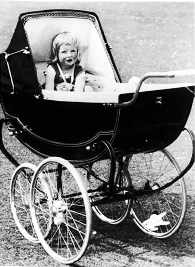 Иллюстрация к книге — Леди Диана. Принцесса людских сердец [i_012.jpg]