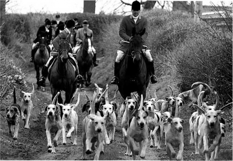 Иллюстрация к книге — Леди Диана. Принцесса людских сердец [i_026.jpg]